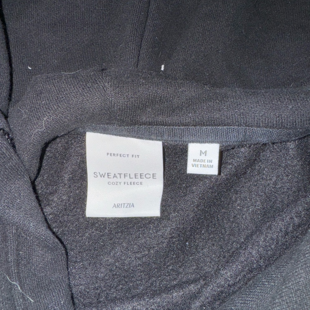 Aritzia Black Sweatfleece Perfect Fit Hoodie